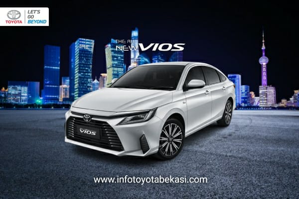 New Vios