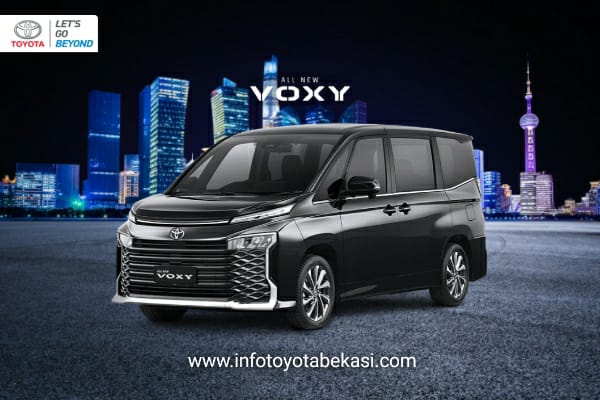 New Voxy